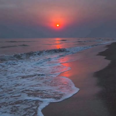 Donnalyn Bartolome avatar